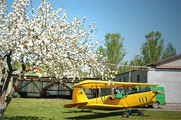 Aeroklubas